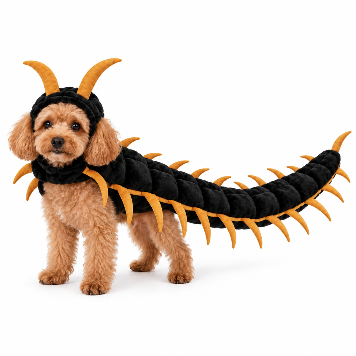 Creepy Crawler™ Centipede Cat Costume