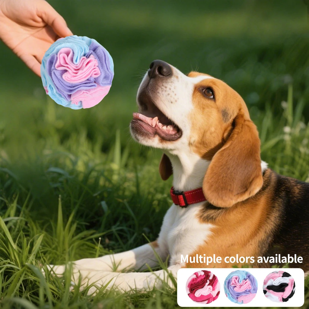 Pet Snuffle Ball for Dogs, Interactive Foraging Puzzle Toy, Colorful Nose Work Training Ball, Slow Feeder Stress Relief Dog Enri
