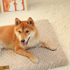CozyCloud Waterproof Orthopedic Dog Bed