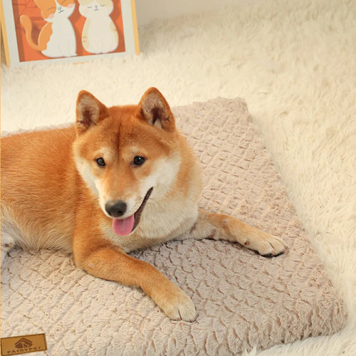 CozyCloud Waterproof Orthopedic Dog Bed