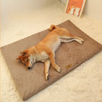 CozyCloud Waterproof Orthopedic Dog Bed