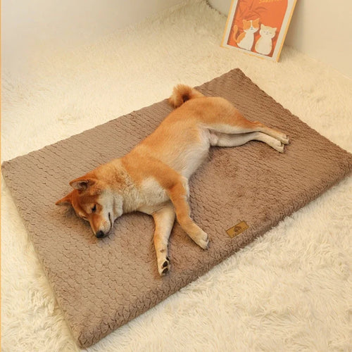 CozyCloud Waterproof Orthopedic Dog Bed